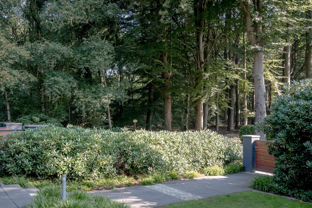 Vrijstaande woning te koop: Pucklaan 13, Diever