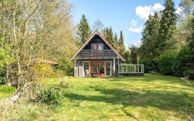 Sprakelingen 17