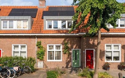 Tulpstraat 16