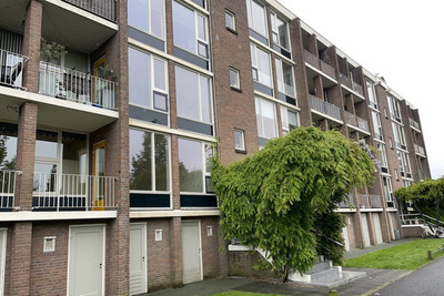 Van Cuylenburchstraat 17