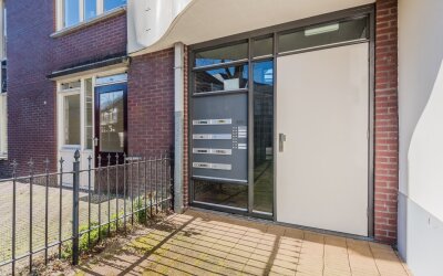 Van der Laenstraat 132