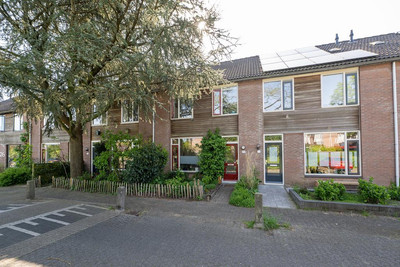 Van Limburg. 20