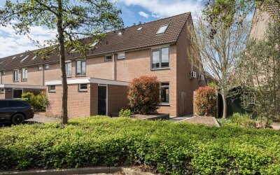 Van Maanenware 26