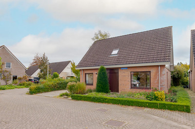 Brasemkolk 8