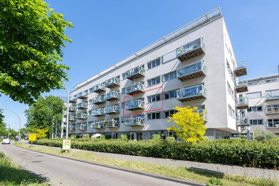 Govert Flin. 17-D