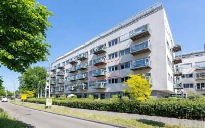 Govert Flin. 17-D