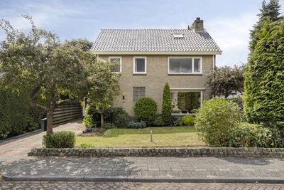 Pieter Zeem. 56