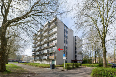 Straussplein 26