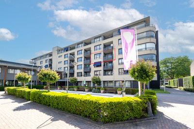 Zijpe 92
