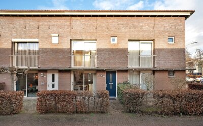 Pluimzegge 29