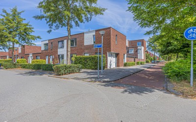 Bergentheimstraat 17