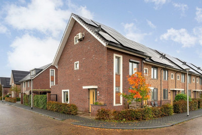 Loodwitmolen 29