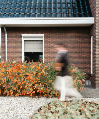 Harderwijke. 411