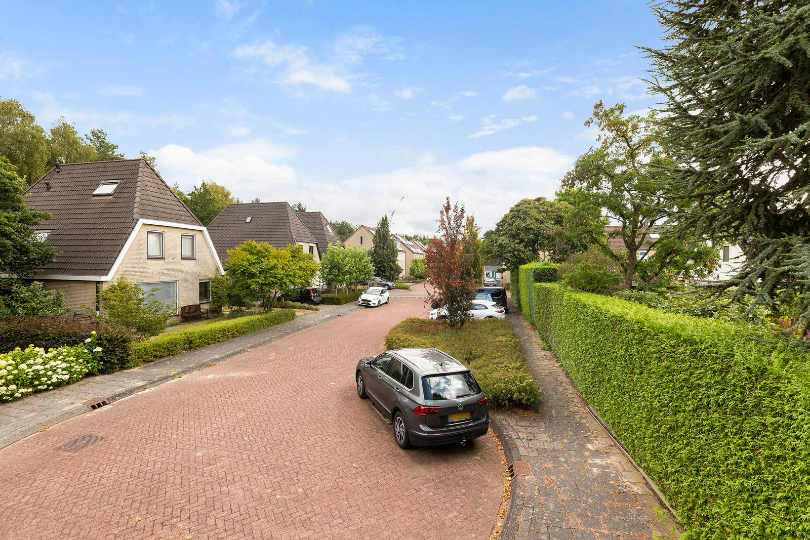 Vrijstaande woning te koop: Heidelaan 70, 'T Harde