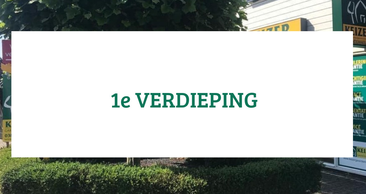 Twee-onder-één-kap te koop: Stationsweg 28, Wezep