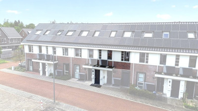 Goudenregen. 8