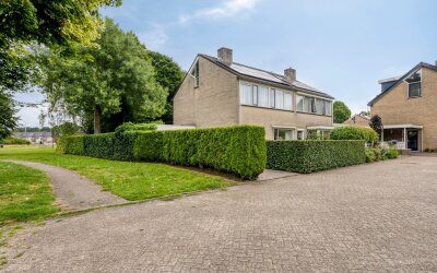 Lavendel 11