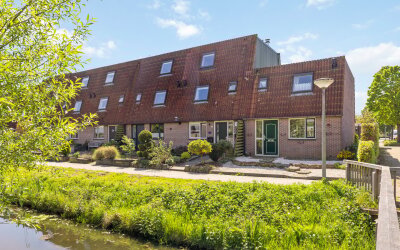 Lijster 41