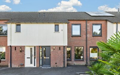 Ekster 31
