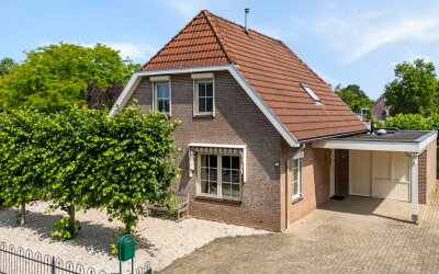 Goudplevier 2
