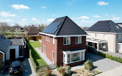 Roodborst 60