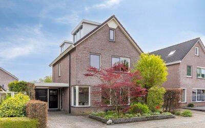 Kievitsbloem 11