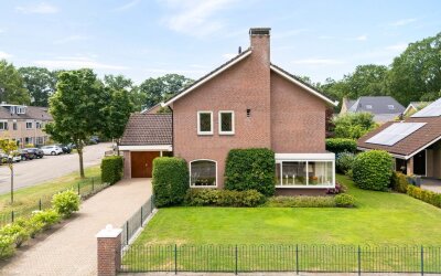 Esdoorn 6