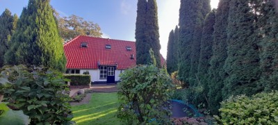 Brandstraat 8