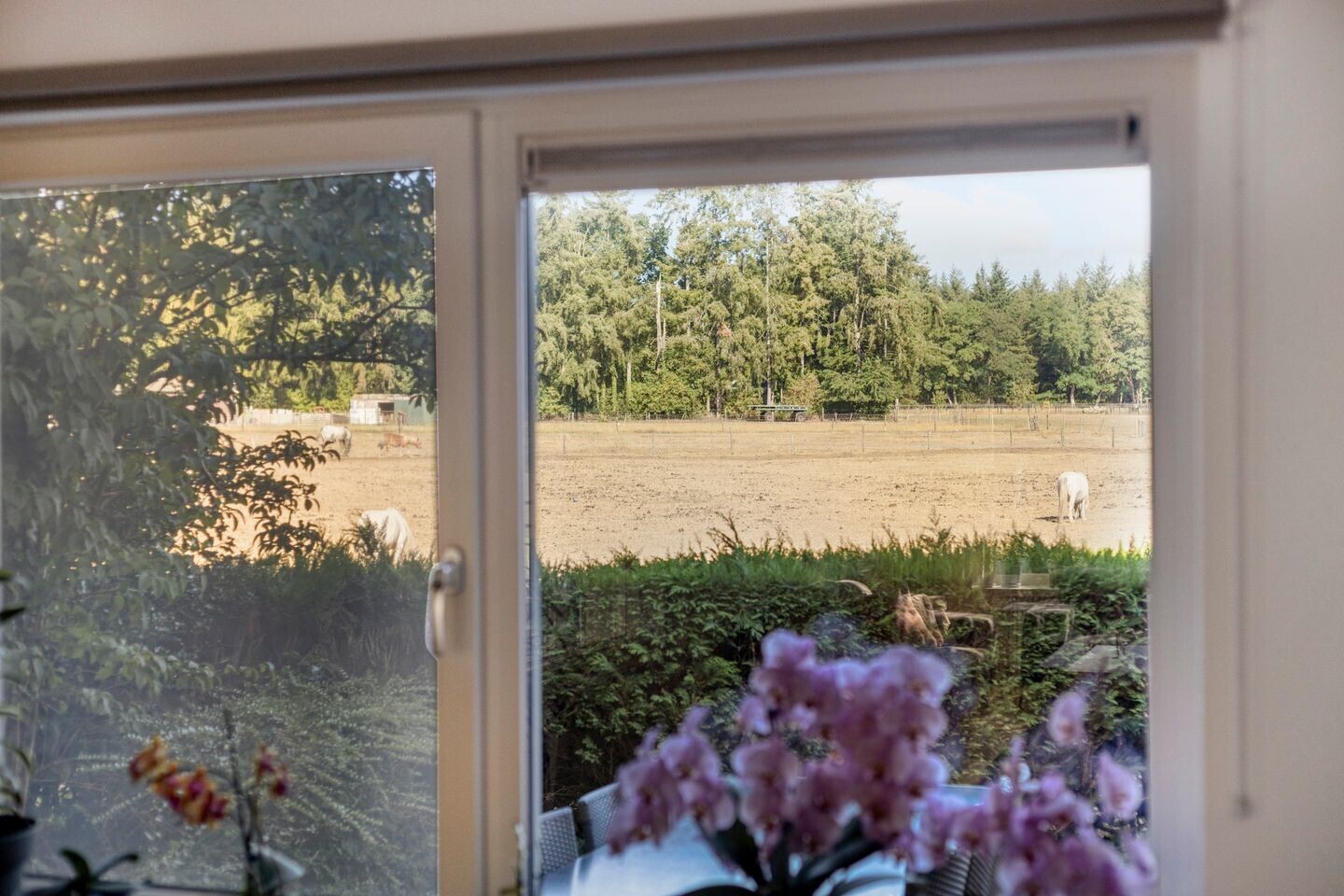 Woning te koop: 2e Hoornerveenseweg 9, Heerde