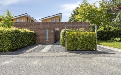 Schouw 54 59