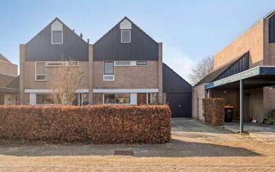 Kempenaar 02 6