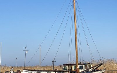 Oostvaardersdijk 99012
