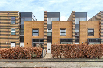 Rijnland 50