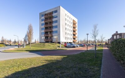 Parnassiala. 32