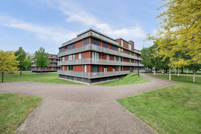 De Dukdalf 77