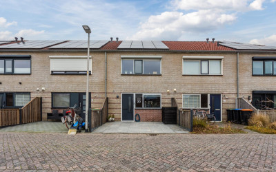 Vogelwikke 20