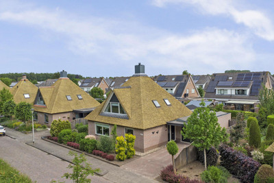 Zwanebloem 62