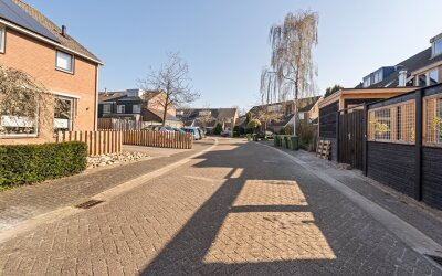 Zilverschoon 26