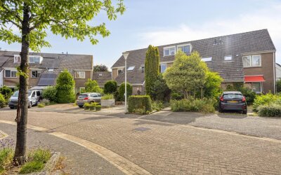 Zilverschoon 27