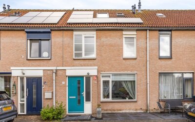 Pijlkruid 39