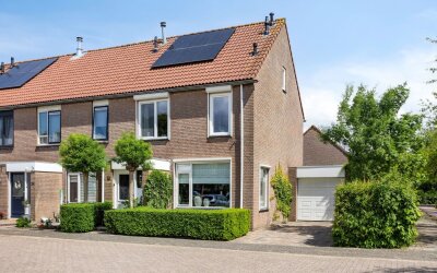Pijlkruid 26