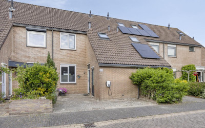 Andoorn 105