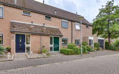 Pinksterbloem 50