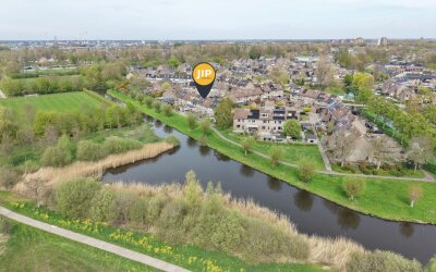 Paardebloem 19