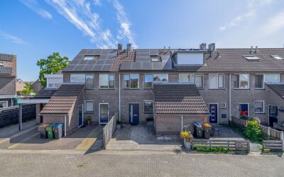 Paardebloem 37
