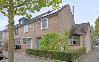 Goudplevier 11