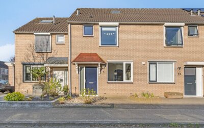 Goudplevier 25