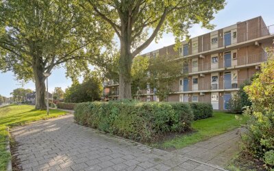 Andijkstraat 11