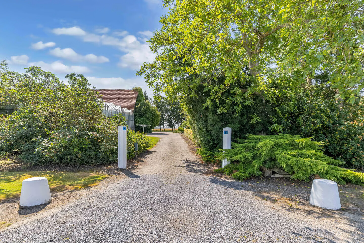 Vrijstaande woning te koop: Mammouthweg 8, Ens