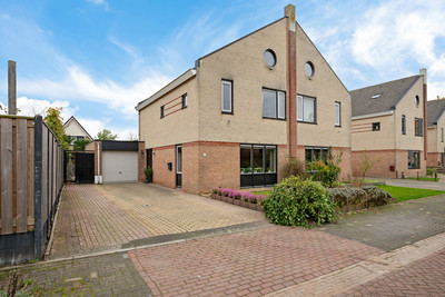 Dotterbloem 1